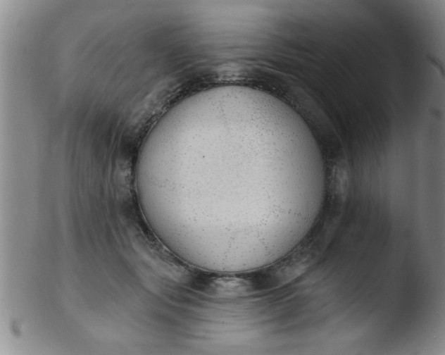 X0000103490557200809261953