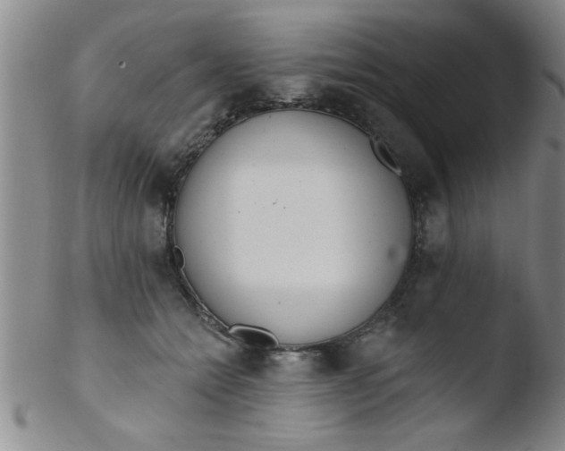 X0000103490558200809261953