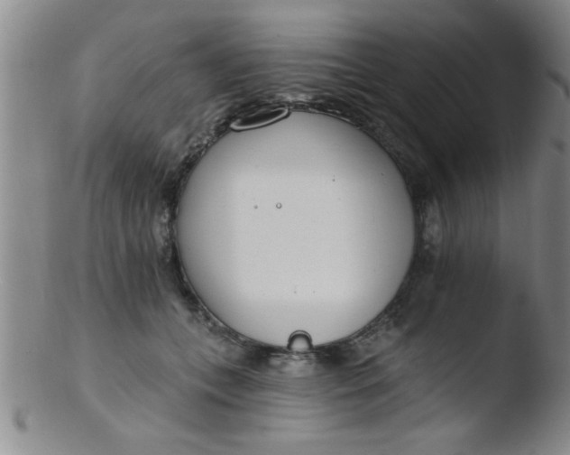 X0000103490559200809261953