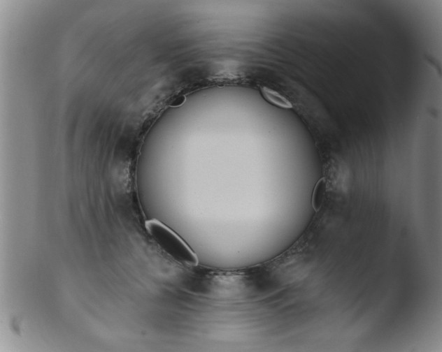 X0000103490560200809261953