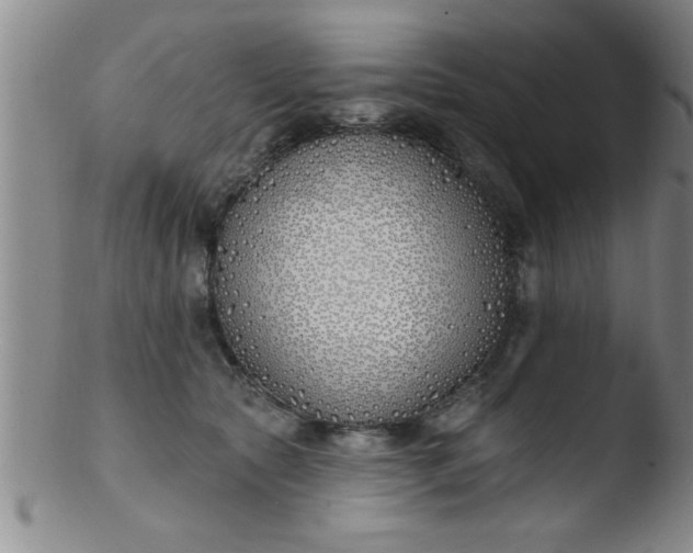 X0000103490561200809261953