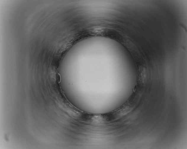 X0000103490562200809261953