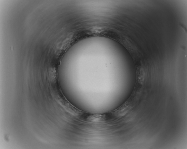 X0000103490563200809261953