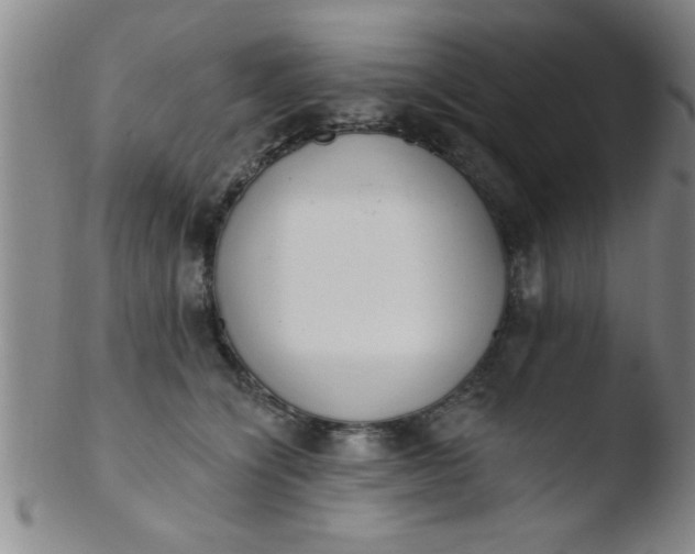 X0000103490564200809261953