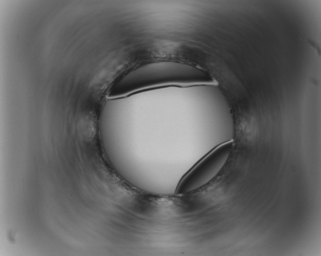 X0000103490566200809261953