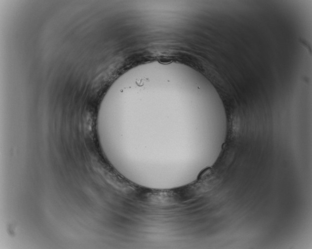 X0000103490567200809261953