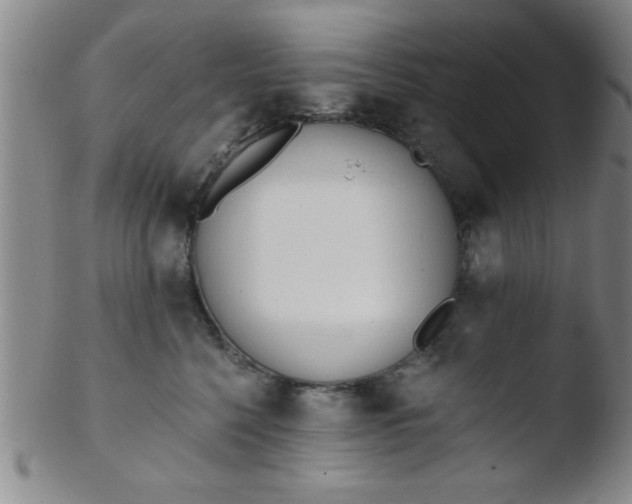 X0000103490568200809261953