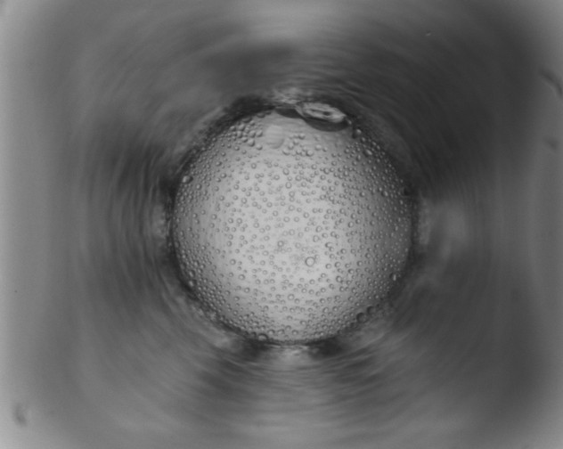 X0000103490569200809261953