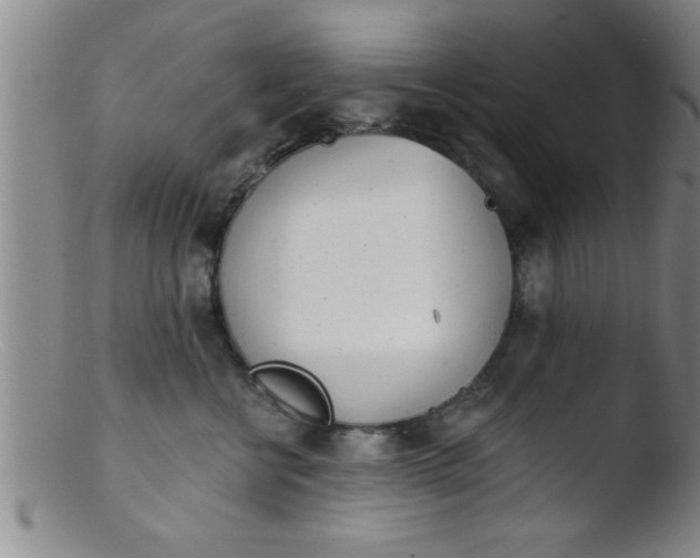 X0000103490570200809261953