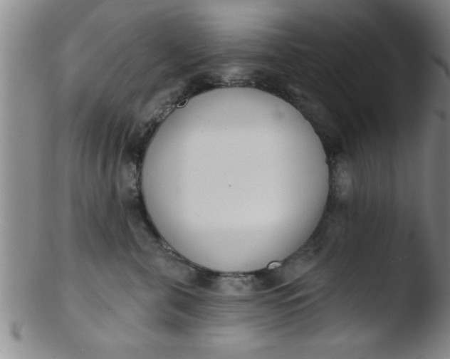 X0000103490571200809261953