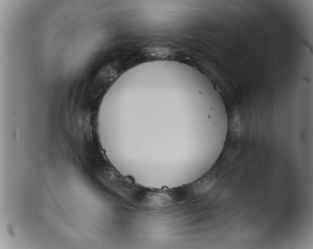 X0000103490572200809261953