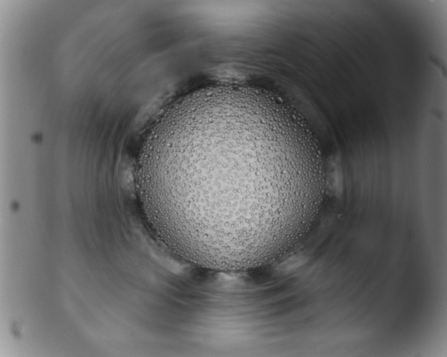 X0000103490573200809261953