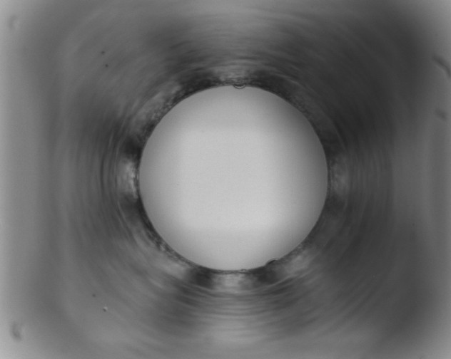 X0000103490575200809261953