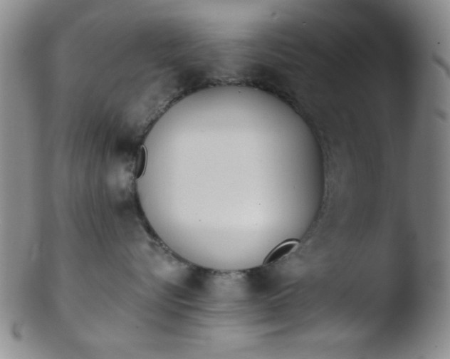 X0000103490576200809261953