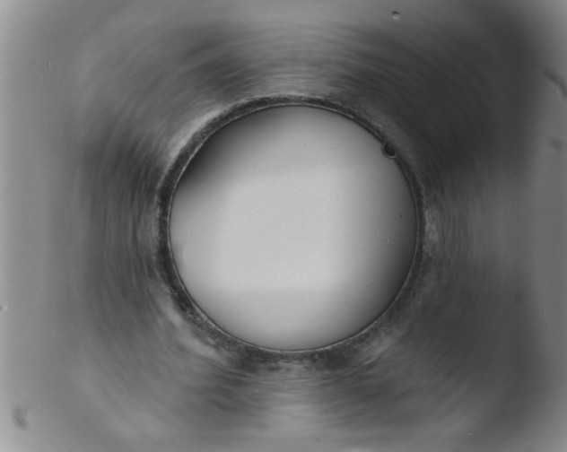 X0000103490580200809261952