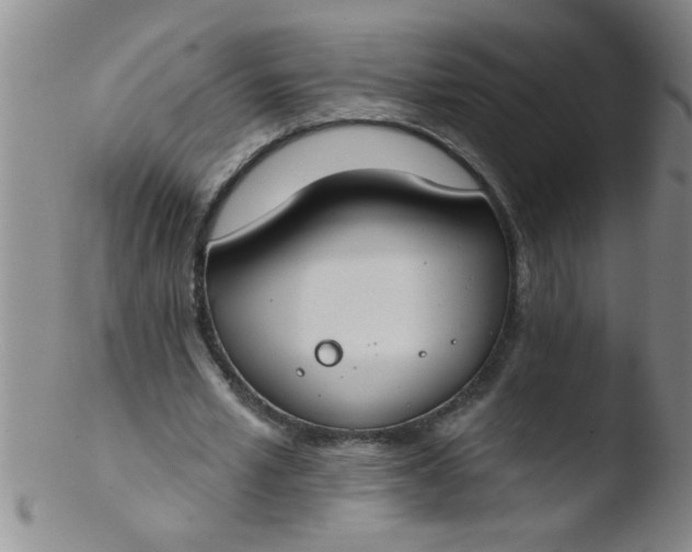 X0000103490581200809261952