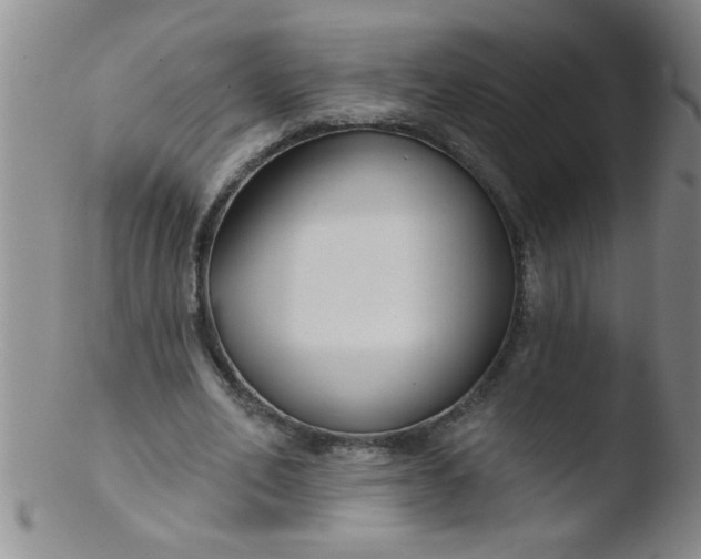 X0000103490582200809261952