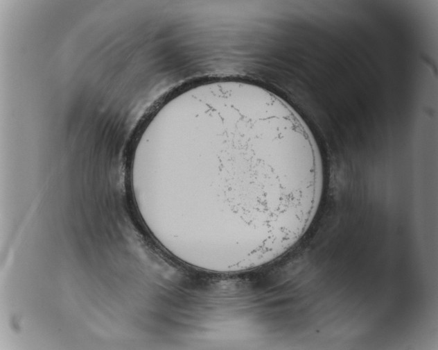 X0000103490584200809261952