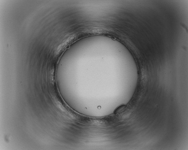 X0000103490585200809261952