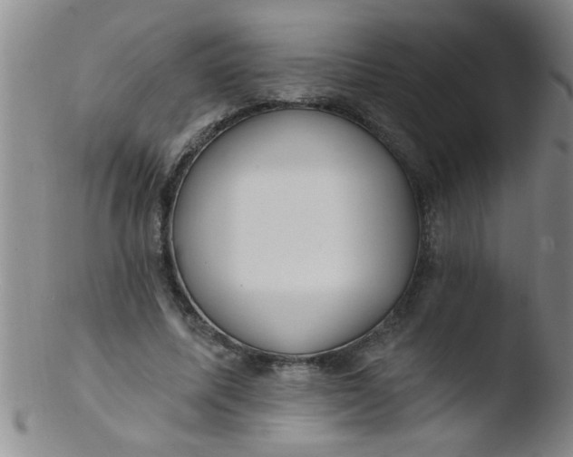 X0000103490587200809261952