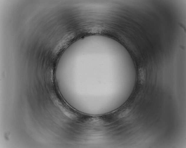 X0000103490589200809261952