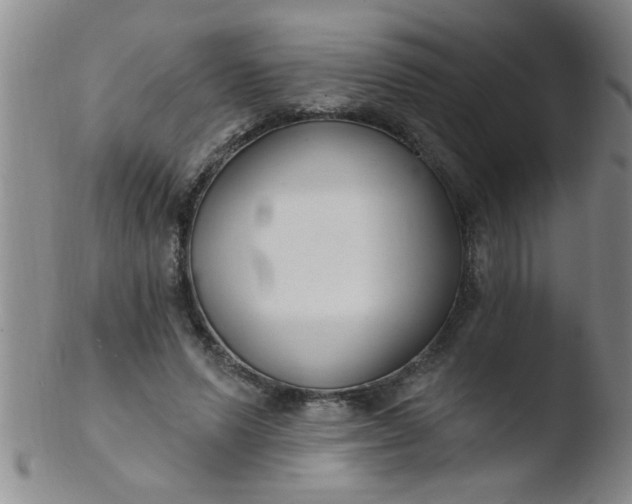 X0000103490591200809261952