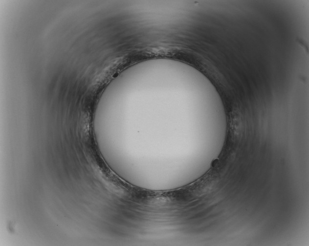 X0000103490593200809261952