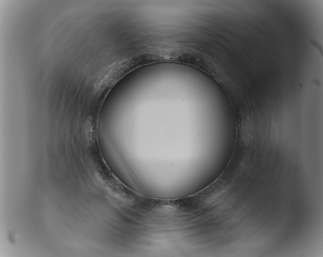 X0000103490594200809261952