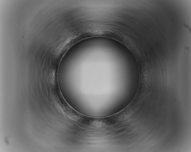 X0000103490596200809261952