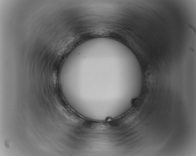 X0000103490597200809261952