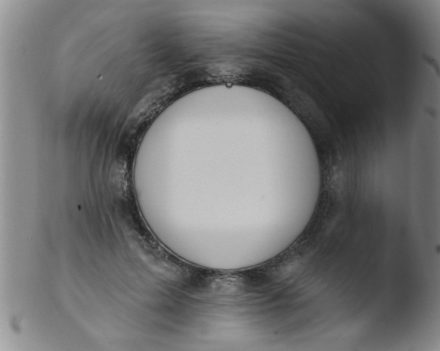 X0000103490599200809261952