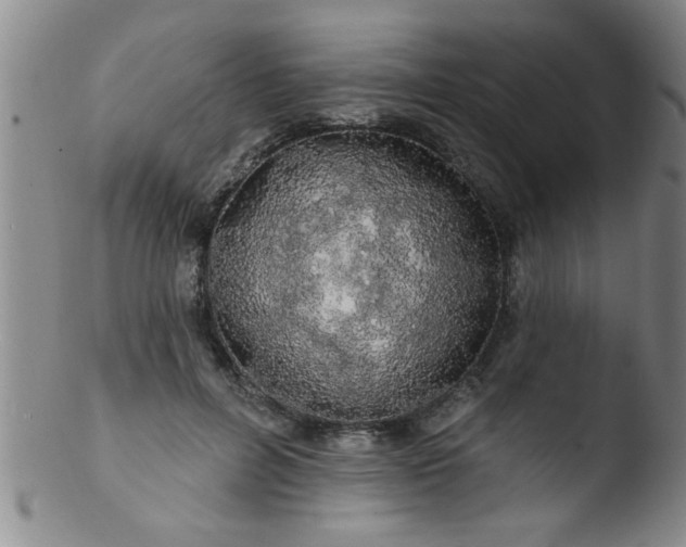 X0000103490600200809261952