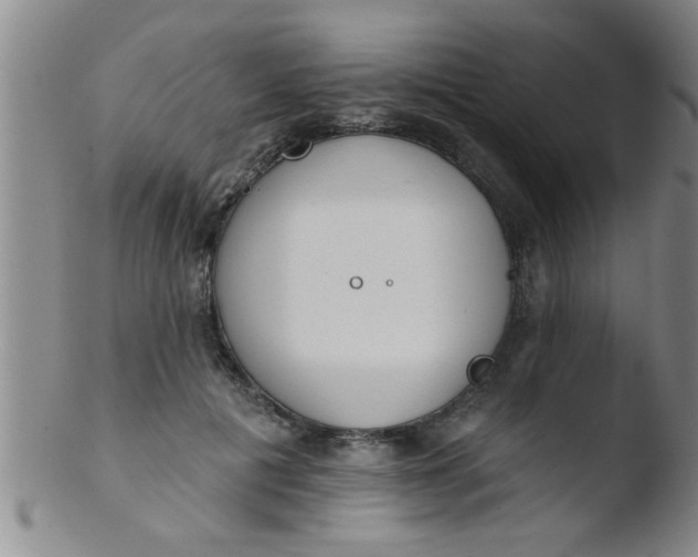 X0000103490601200809261952