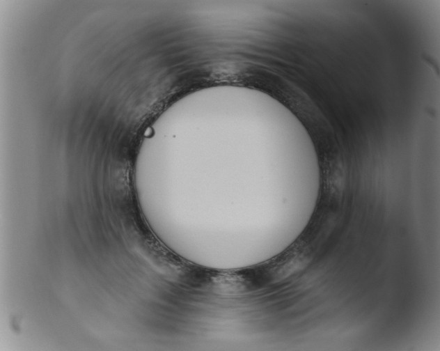 X0000103490603200809261952