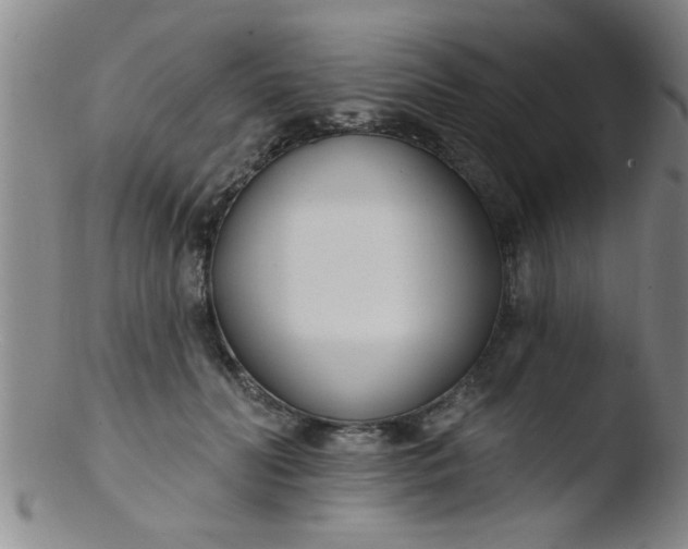 X0000103490606200809261952