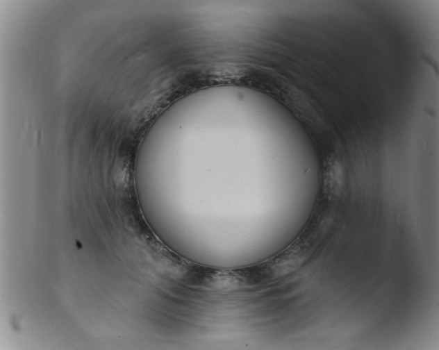 X0000103490608200809261952