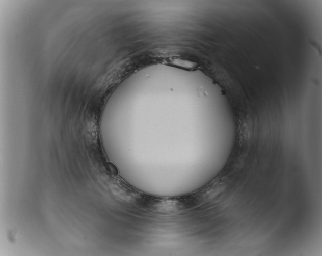 X0000103490609200809261952