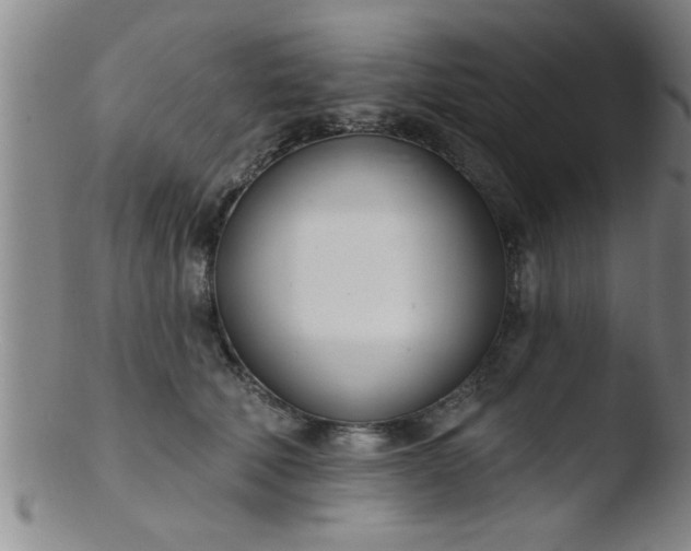 X0000103490610200809261952