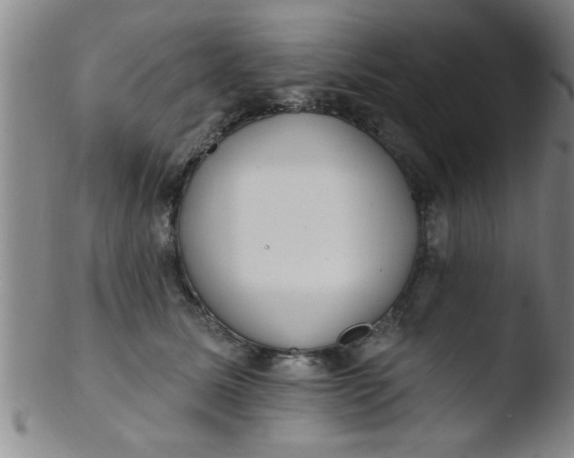 X0000103490611200809261952