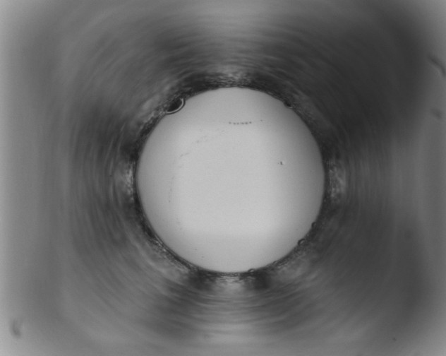 X0000103490613200809261952