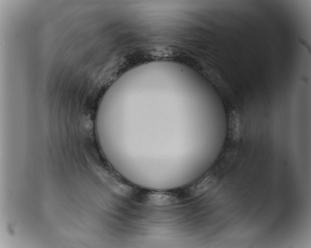 X0000103490614200809261952