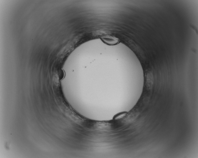 X0000103490617200809261952