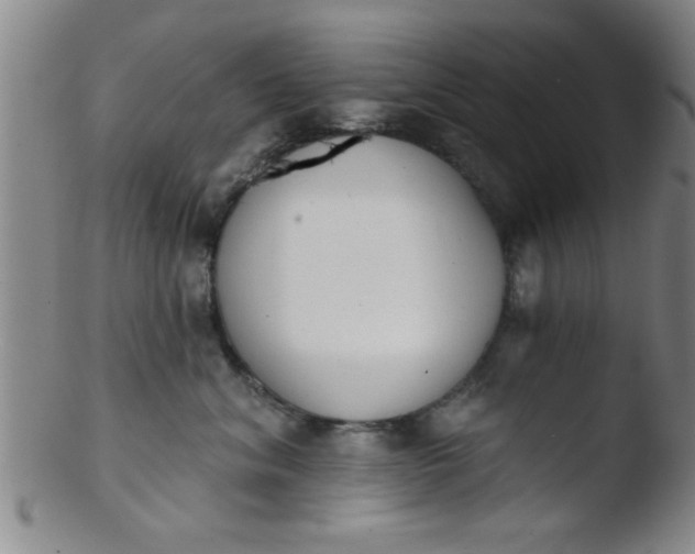 X0000103490620200809261952