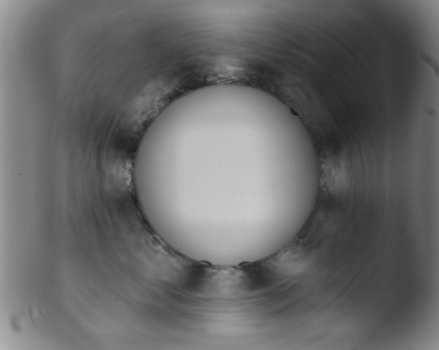 X0000103490621200809261952