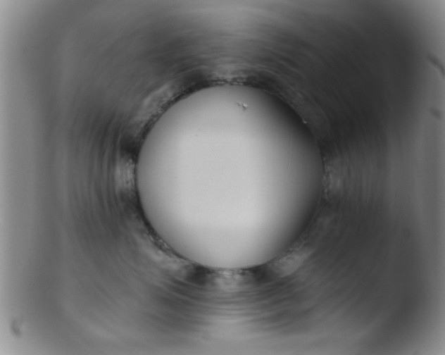 X0000103490623200809261952