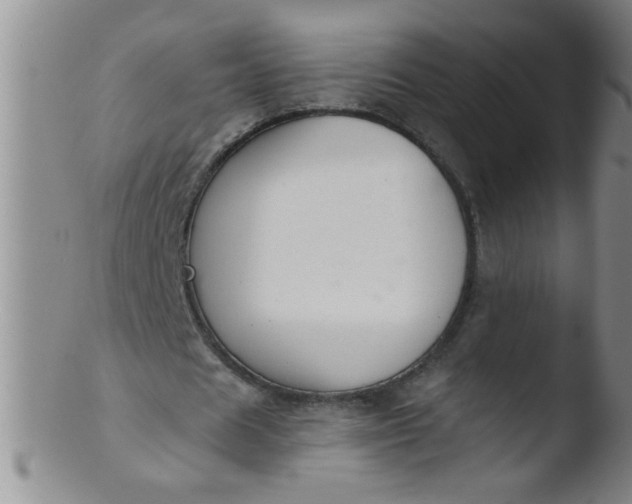 X0000103490625200809261951