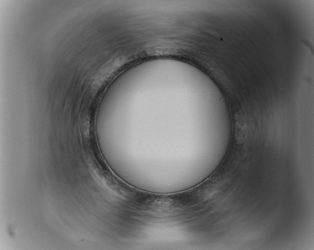 X0000103490631200809261951