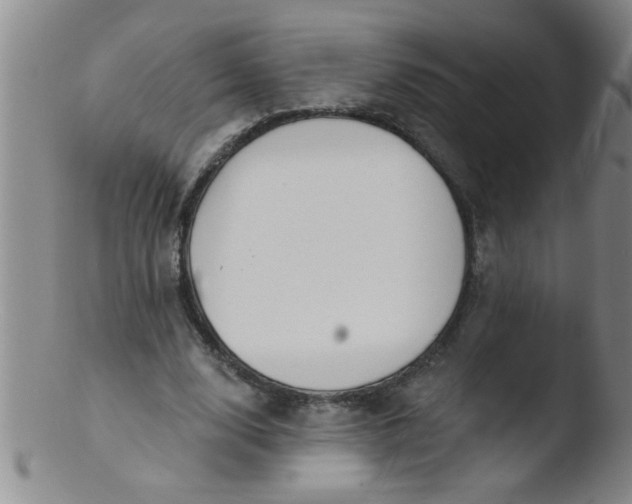 X0000103490632200809261951