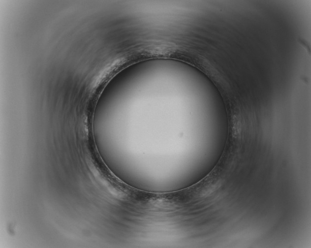 X0000103490634200809261951