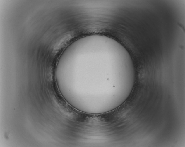 X0000103490635200809261951